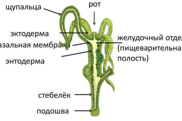 Кракен аккаунт не найден