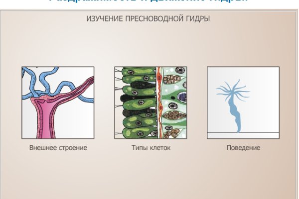 2krn at официальный