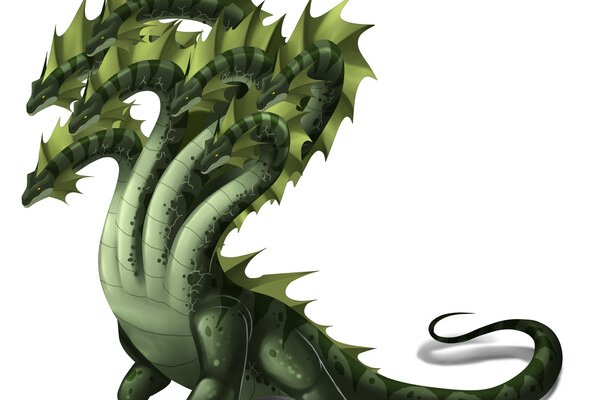 Kraken cc